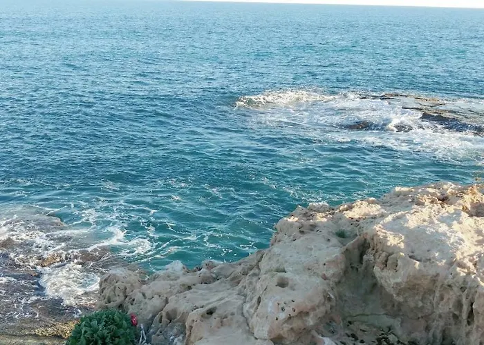 Estudio Jardín Del Mar