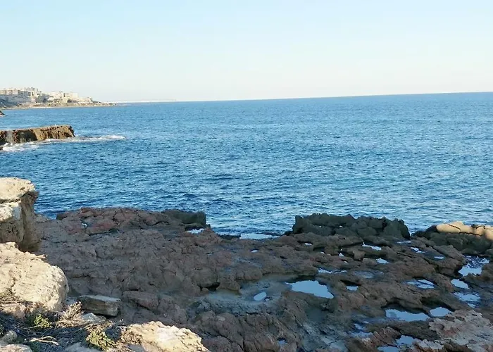 Estudio Jardín Del Mar Apartamento